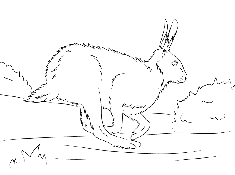 Desenho de Primavera para colorir e imprimir: número 26