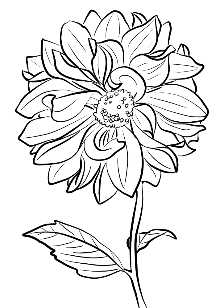 Desenho de Primavera para colorir e imprimir: número 37