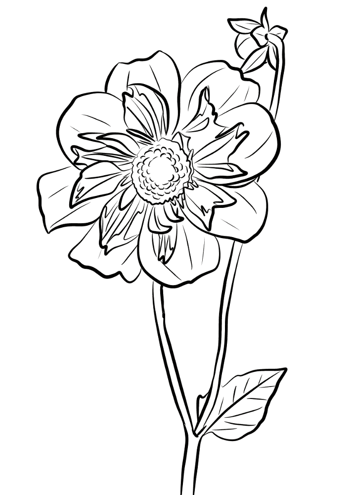 Desenho de Primavera para colorir e imprimir: número 38