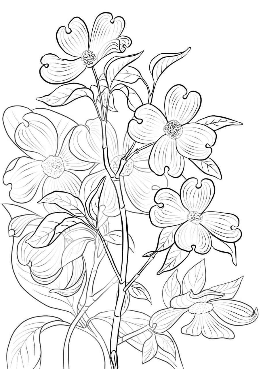 Desenho de Primavera para colorir e imprimir: número 46