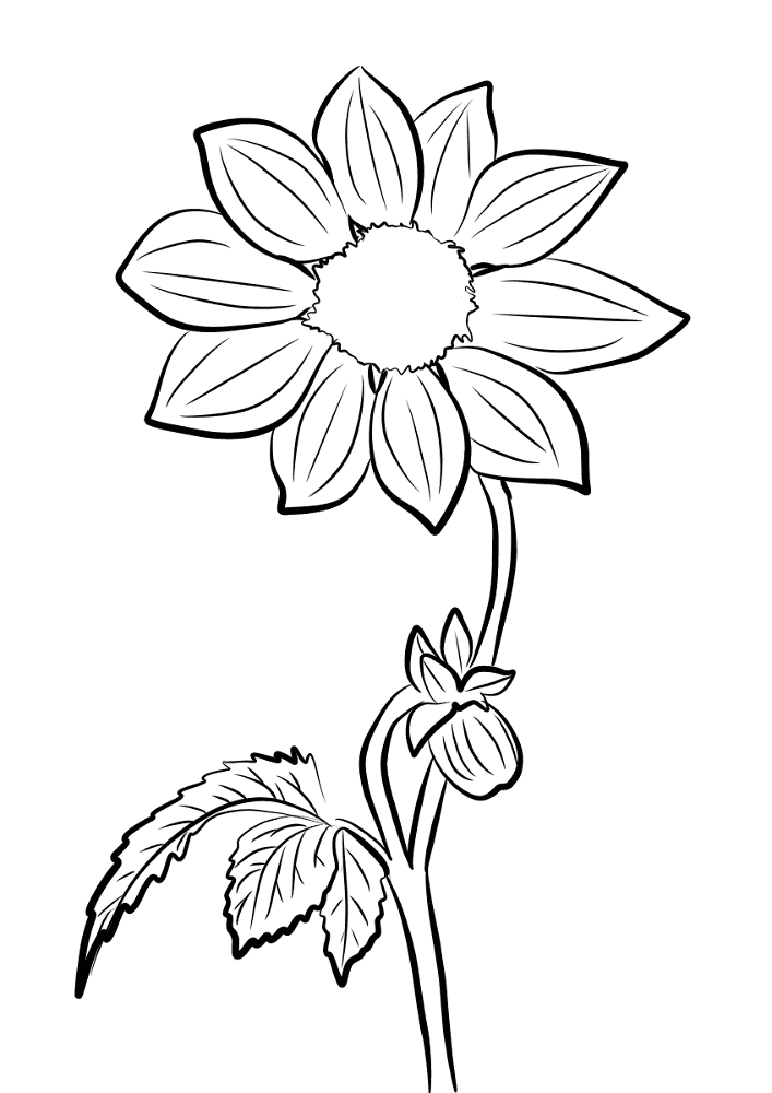 Desenho de Primavera para colorir