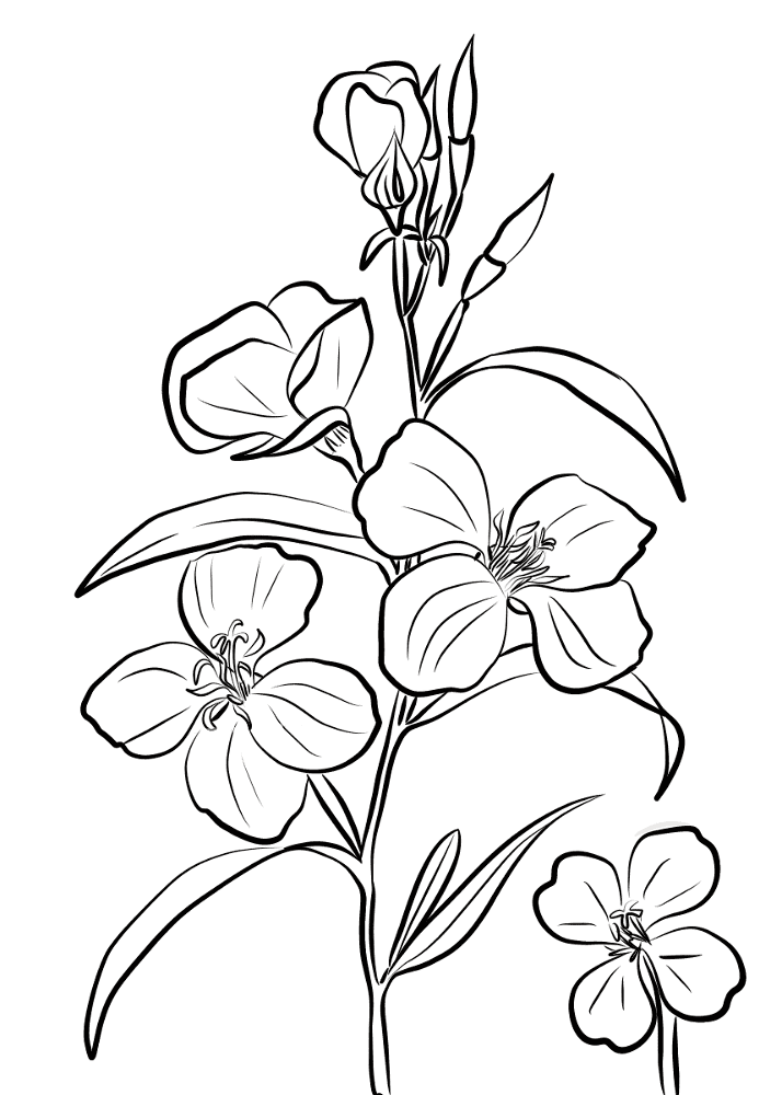 Desenho de Primavera para colorir
