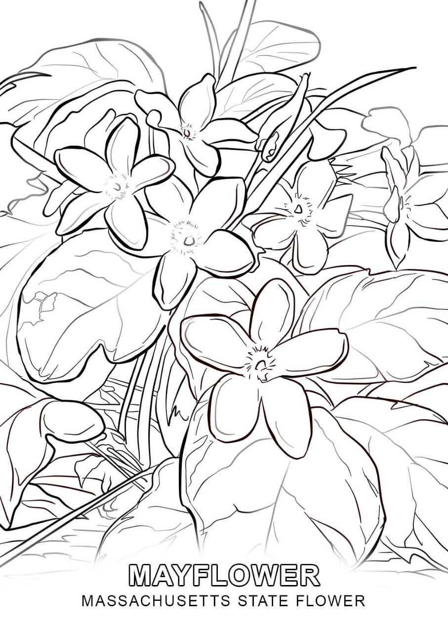Desenho de Primavera para colorir
