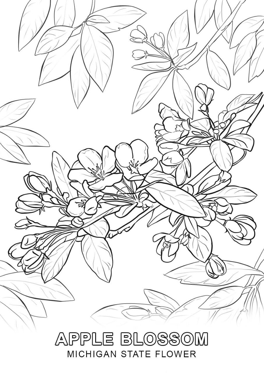 Desenho de Primavera para colorir