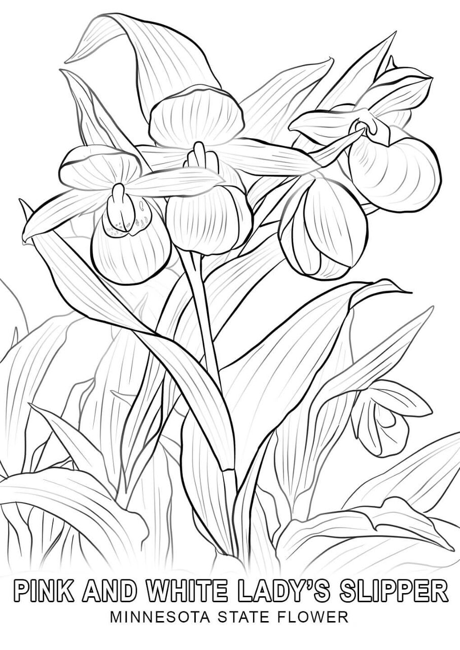 Desenho de Primavera para colorir