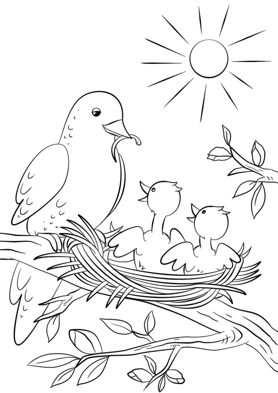 Desenho de Primavera para colorir