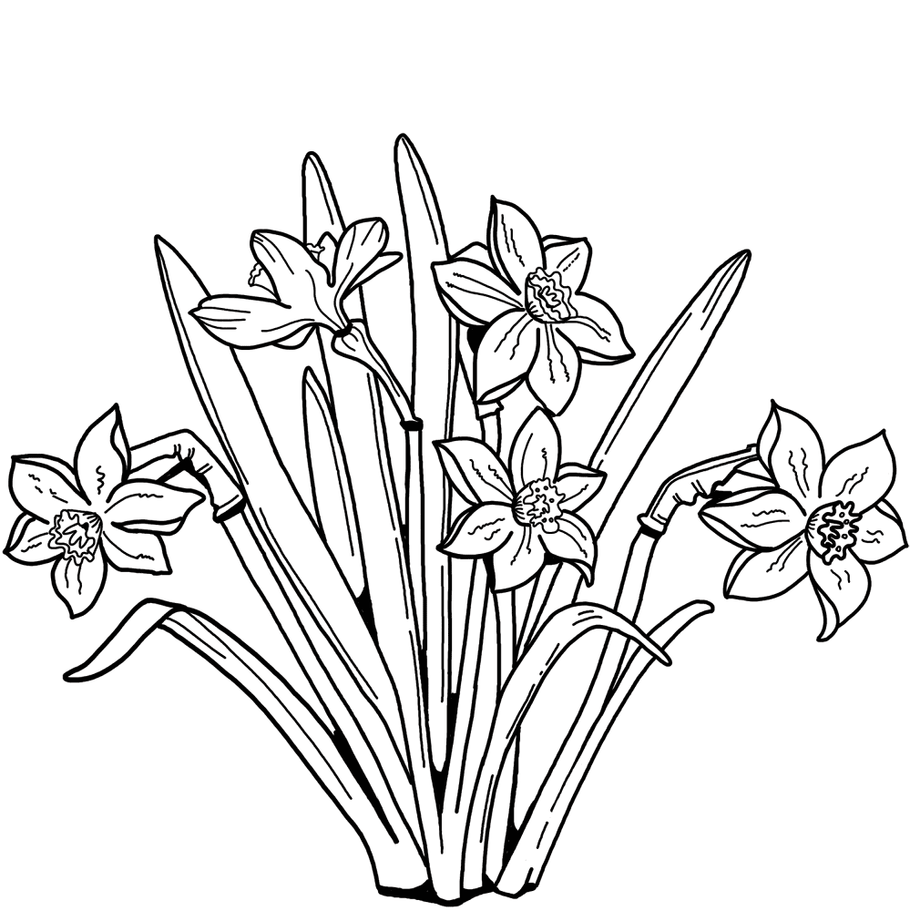 Desenho de Primavera para colorir