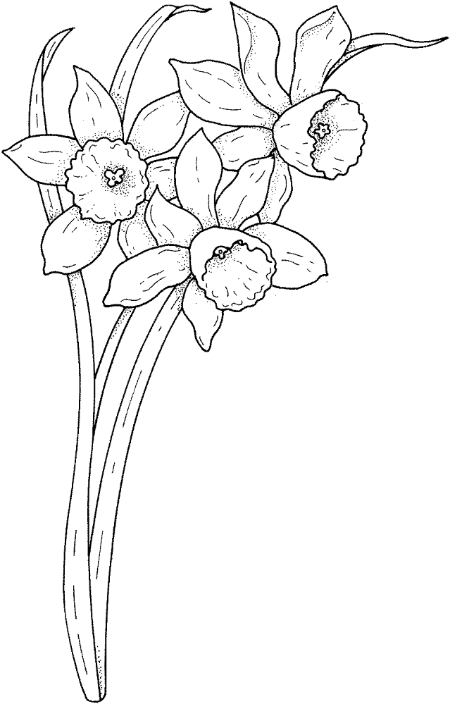 Desenho de Primavera para colorir