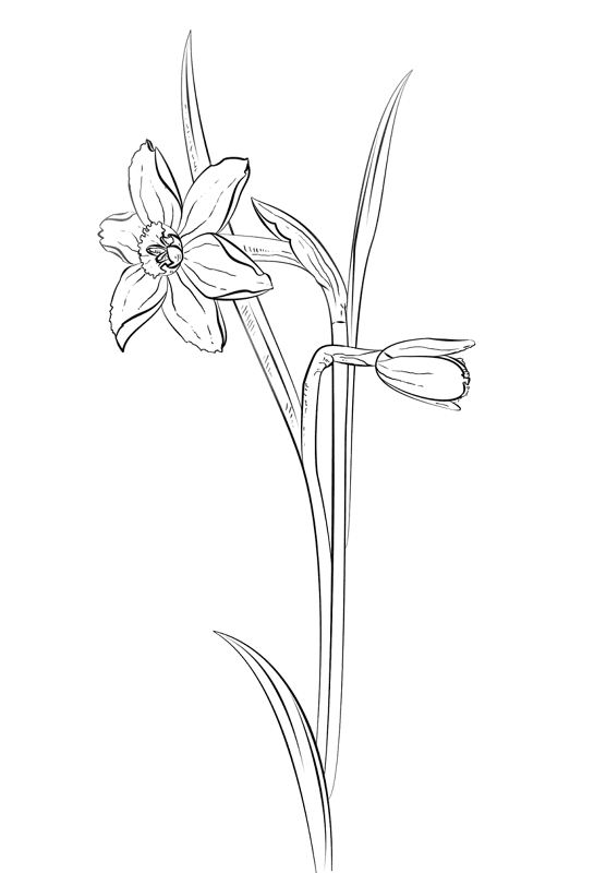 Desenho de Primavera para colorir