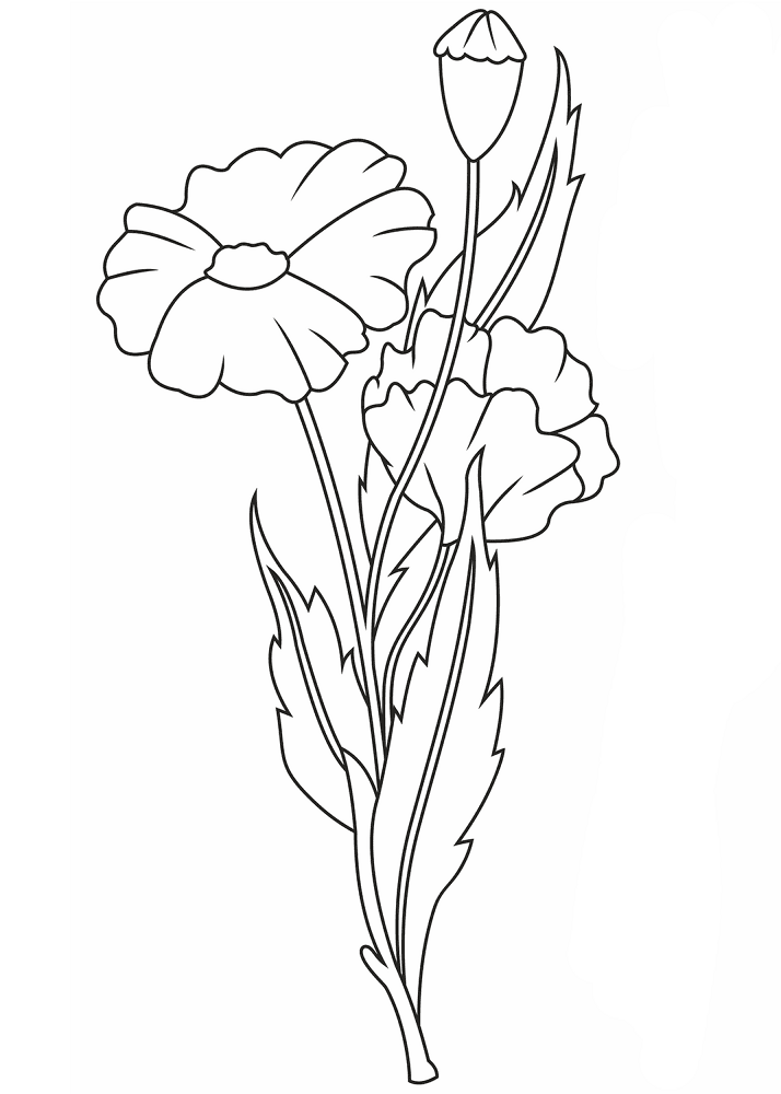 Desenho de Primavera para colorir