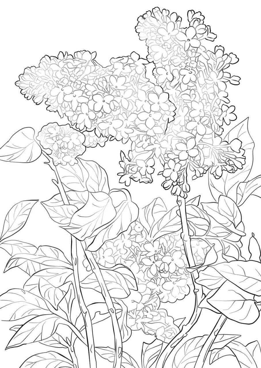 Desenho de Primavera para colorir