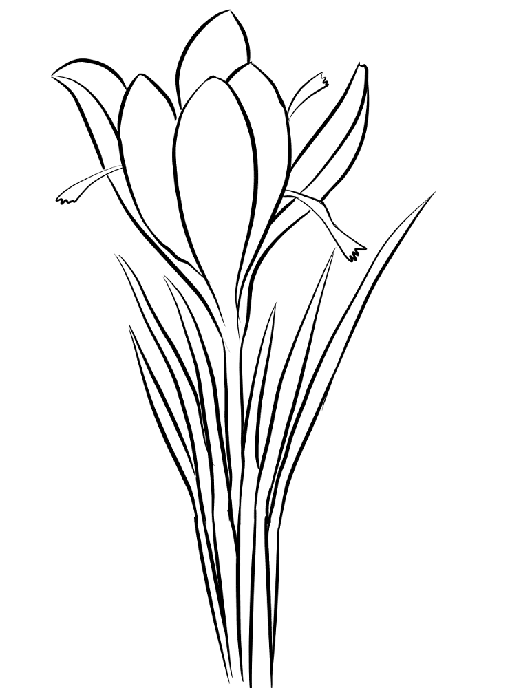 Desenho de Primavera para colorir