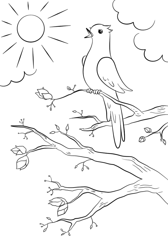 Desenho de Primavera para colorir