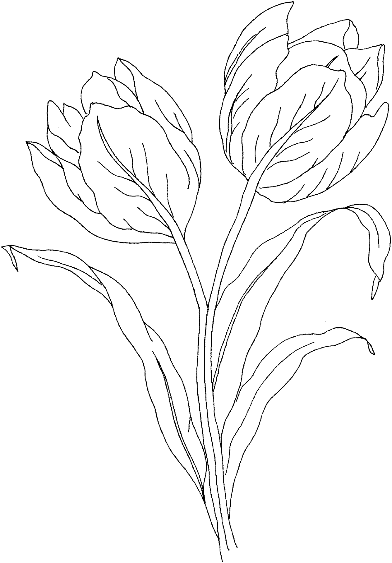 Desenho de Primavera para colorir