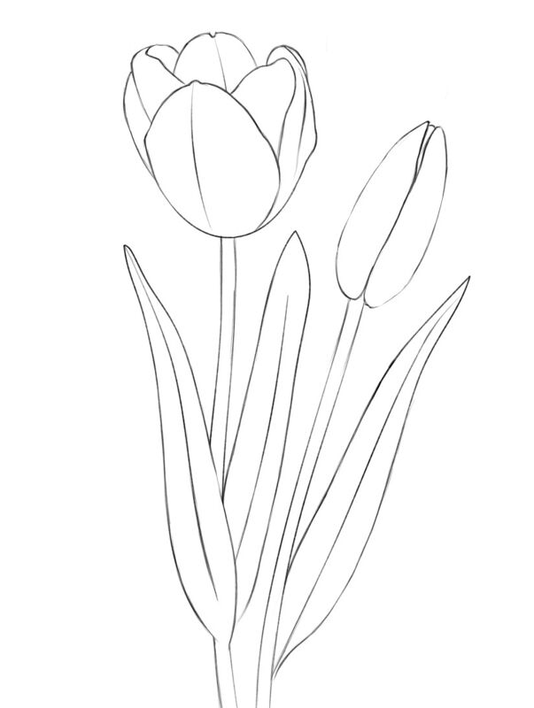 Desenho de Primavera para colorir
