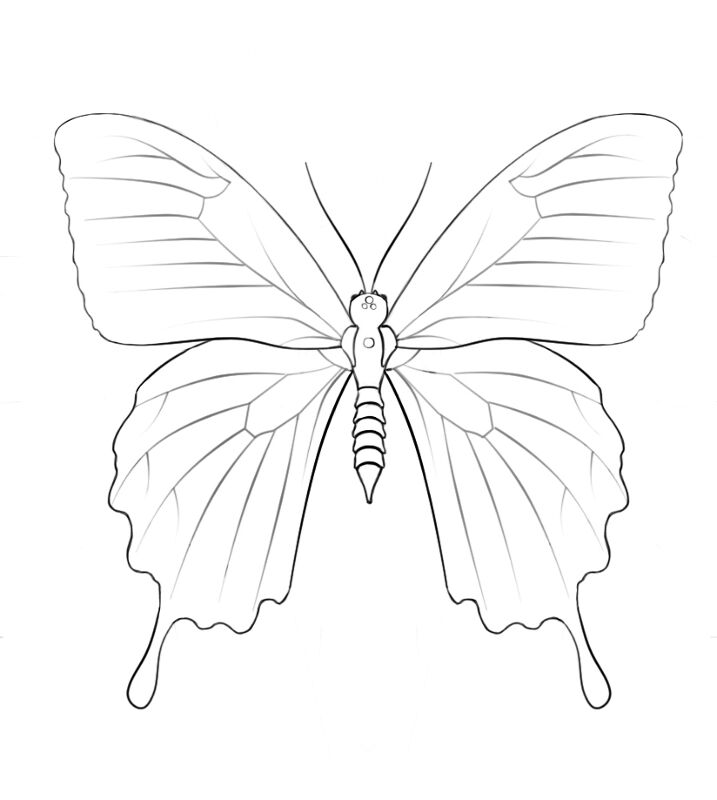 Desenho de Primavera para colorir