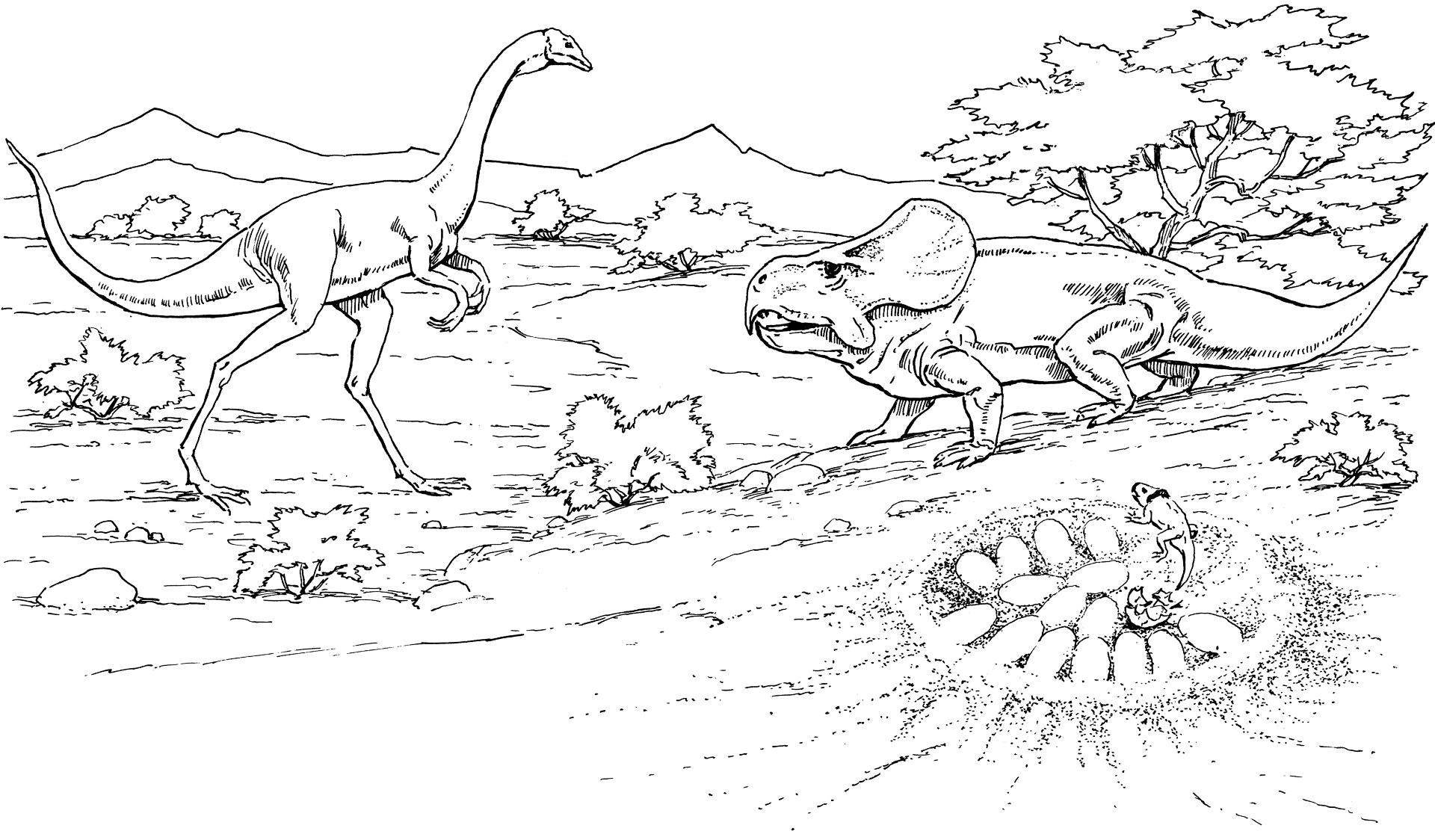 Desenho de Protocerátopo para colorir e imprimir: número 1