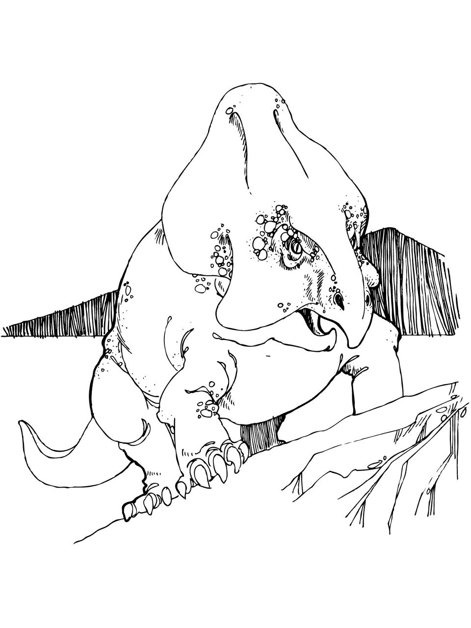 Desenho de Protocerátopo para colorir e imprimir: número 3