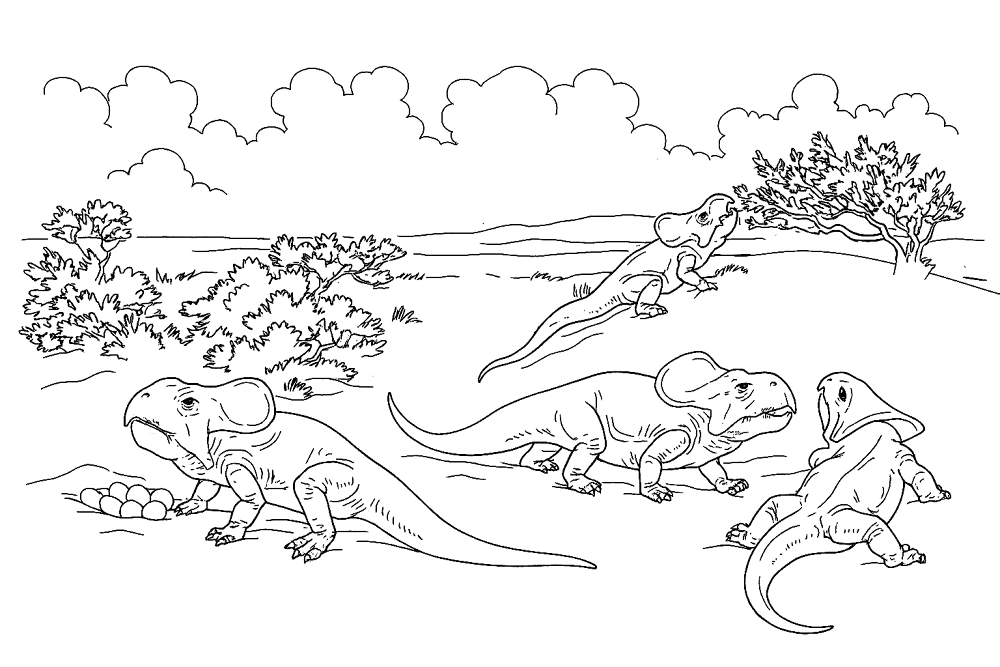 Desenho de Protocerátopo para colorir e imprimir: número 11