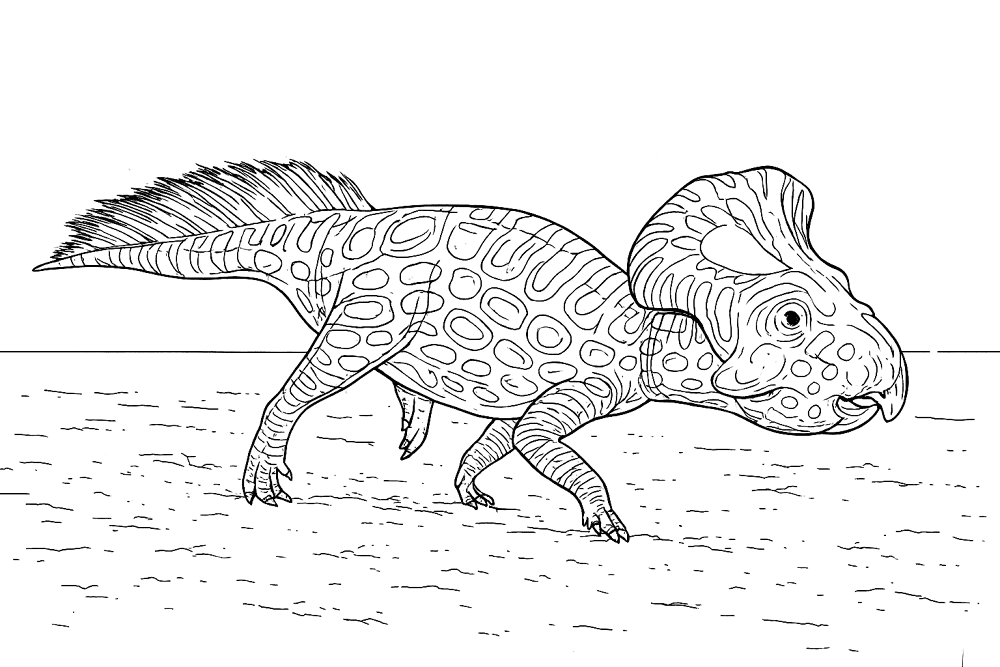 Desenho de Protocerátopo para colorir e imprimir: número 14