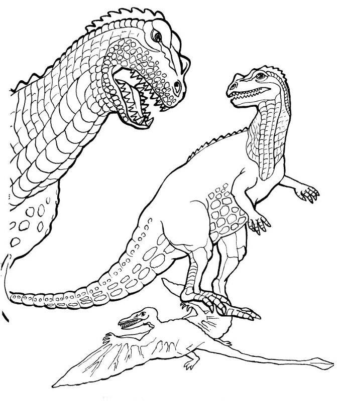 Desenho de Pteranodonte para colorir e imprimir: número 3