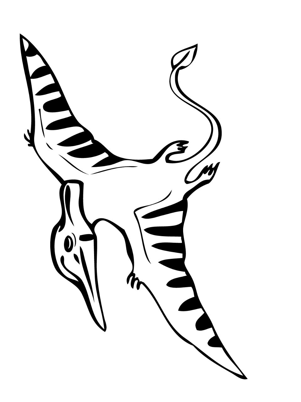 Desenho de Pteranodonte para colorir e imprimir: número 10