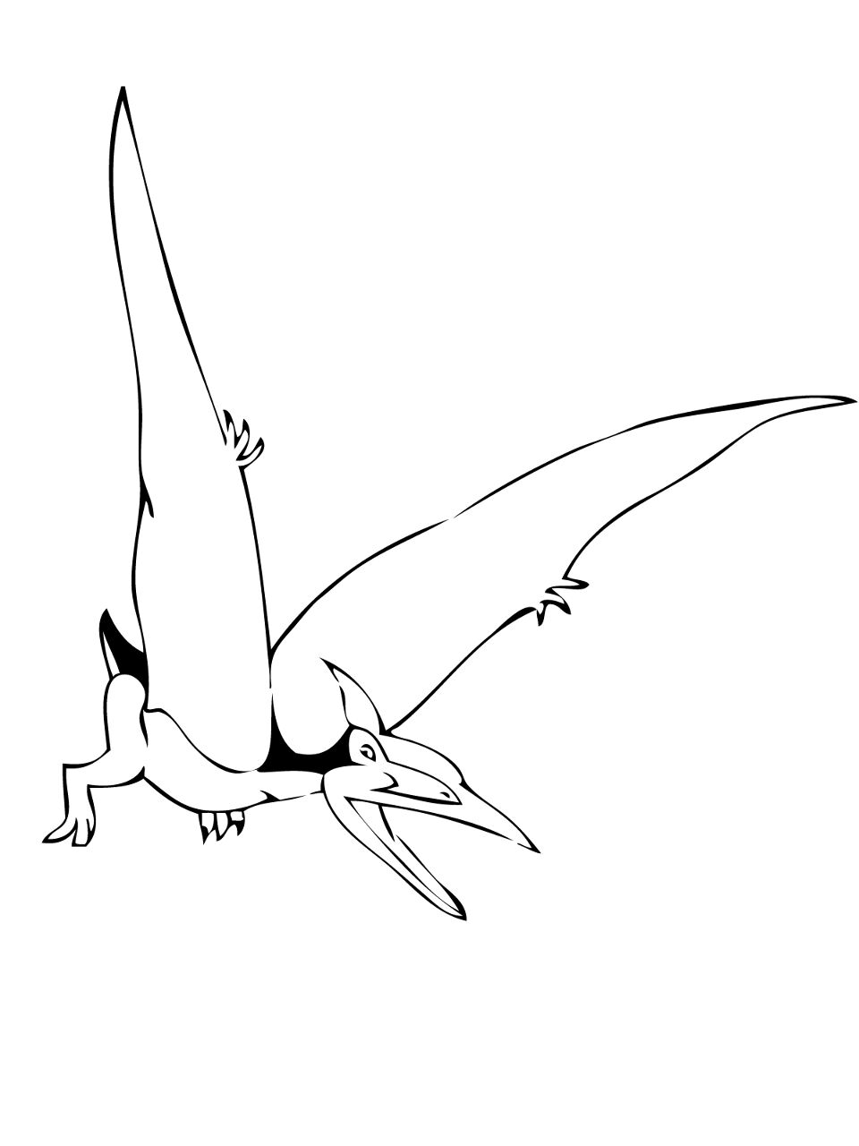 Desenho de Pteranodonte para colorir e imprimir: número 11