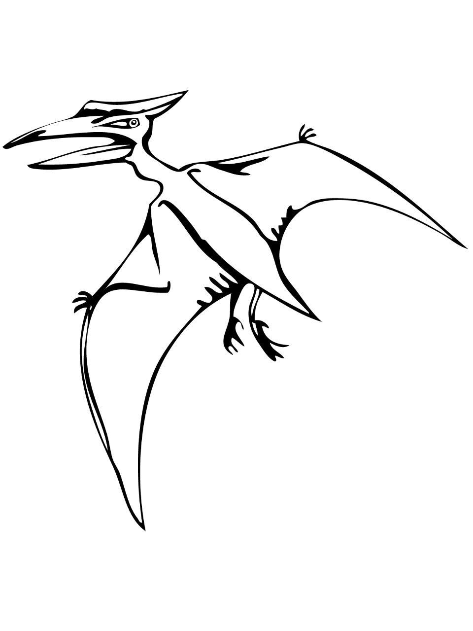 Desenho de Pteranodonte para colorir e imprimir: número 12