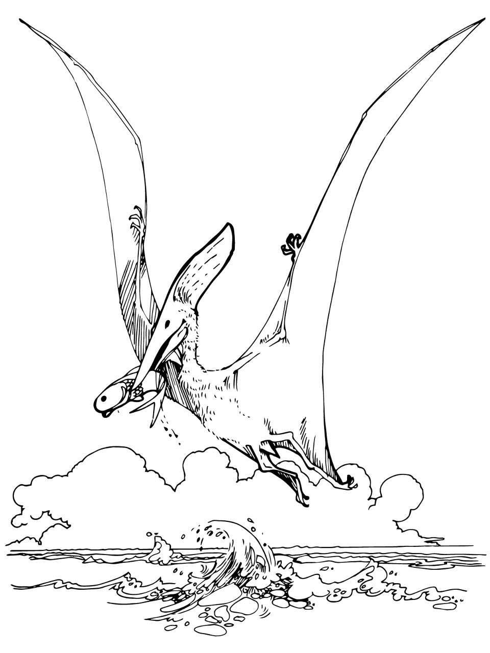Desenho de Pteranodonte para colorir e imprimir: número 13