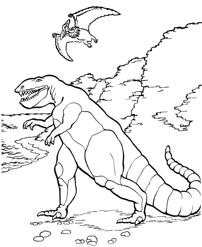 Desenho de Pteranodonte para colorir e imprimir: número 15
