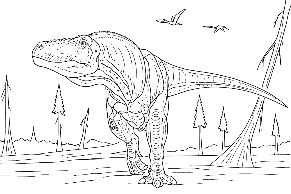 Desenho de Pteranodonte para colorir e imprimir: número 16