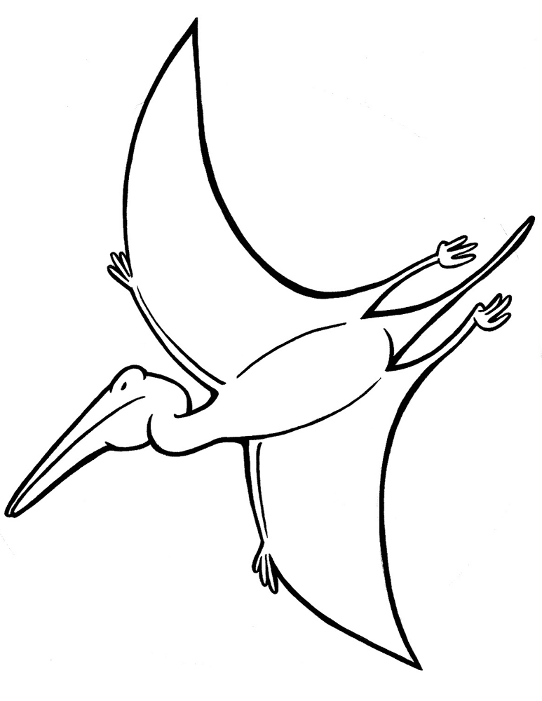 Desenho de Pterodáctilo para colorir e imprimir: número 5