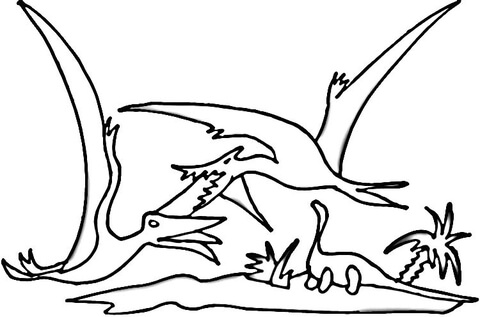 Desenho de Pterodáctilo para colorir e imprimir: número 15