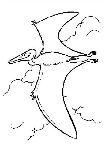 Desenho de Pterodáctilo para colorir e imprimir: número 16