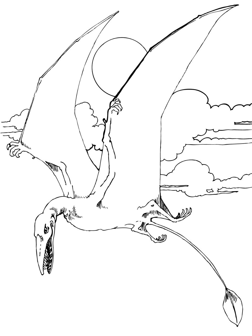Desenho de Pterodáctilo para colorir e imprimir: número 25