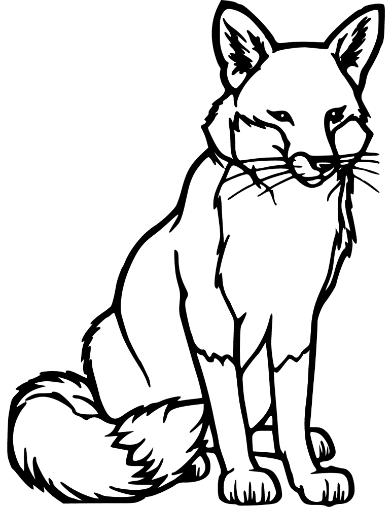 Desenho de Raposa Do Ártico para colorir e imprimir: número 4