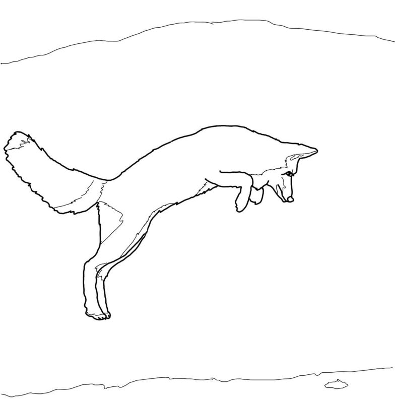 Desenho de Raposa Do Ártico para colorir e imprimir: número 7