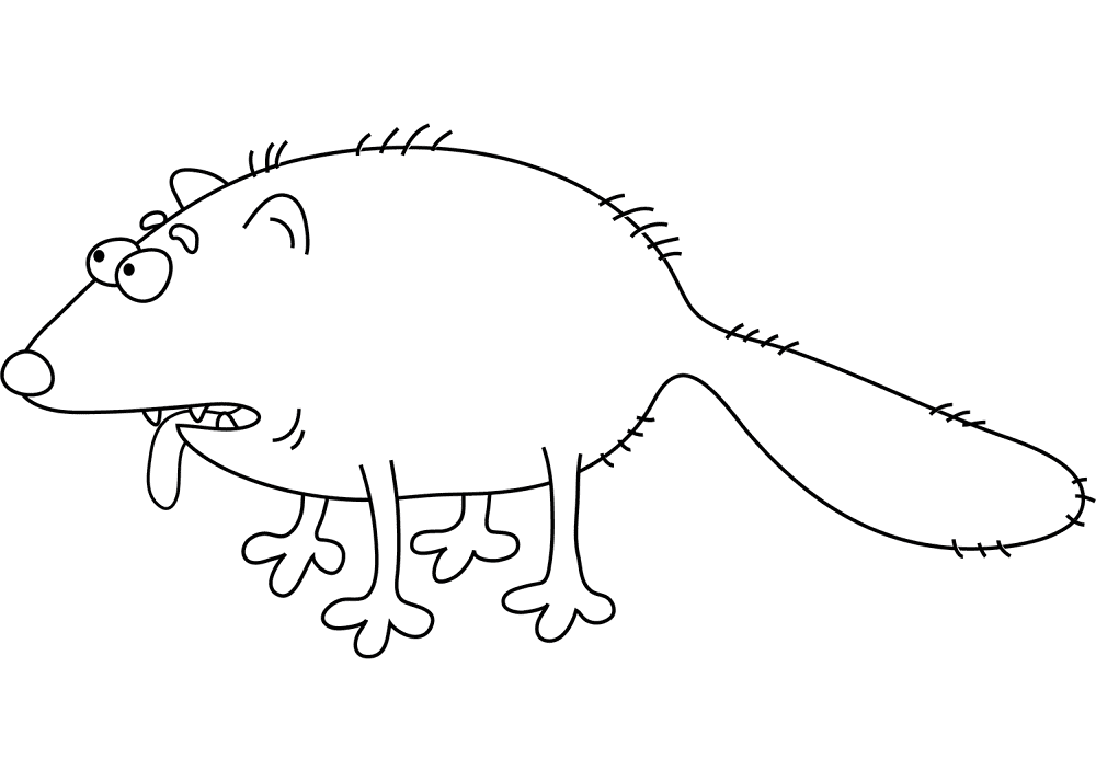 Desenho de Raposa Do Ártico para colorir e imprimir: número 12