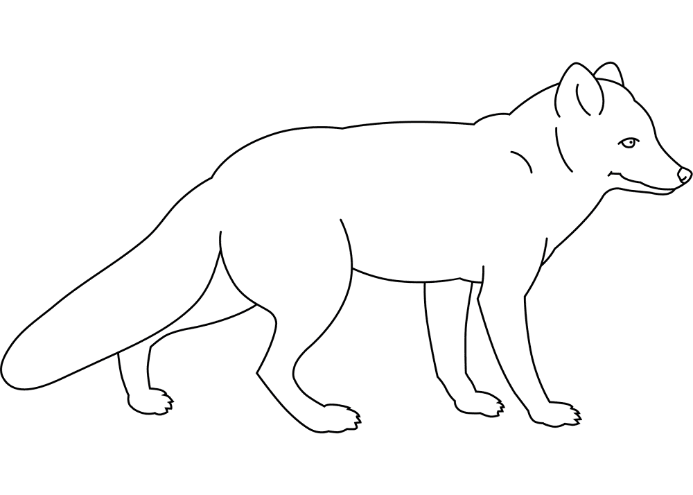 Desenho de Raposas para colorir e imprimir: número 6