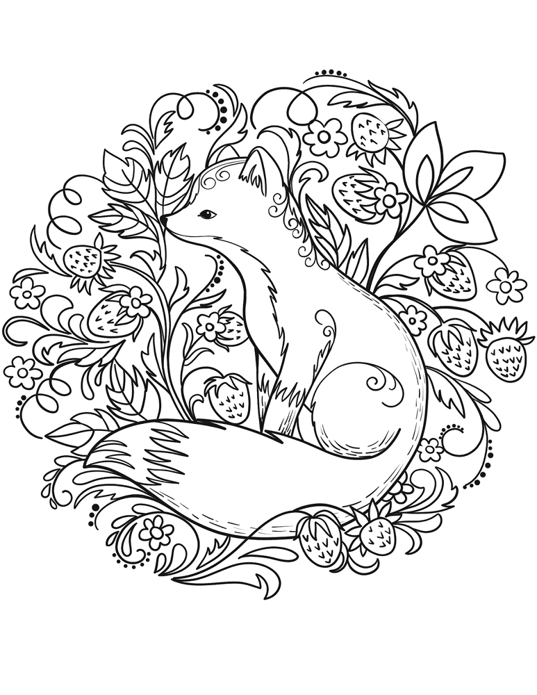 Desenho de Raposas para colorir e imprimir: número 12