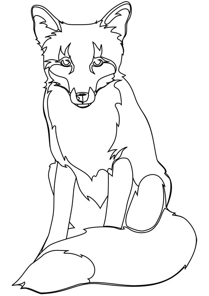 Desenho de Raposas para colorir e imprimir: número 13