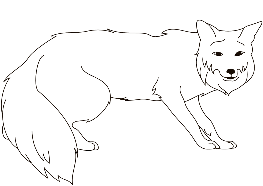 Desenho de Raposas para colorir e imprimir: número 15