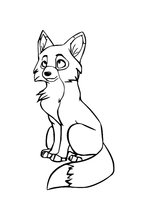 Desenho de Raposas para colorir e imprimir: número 20