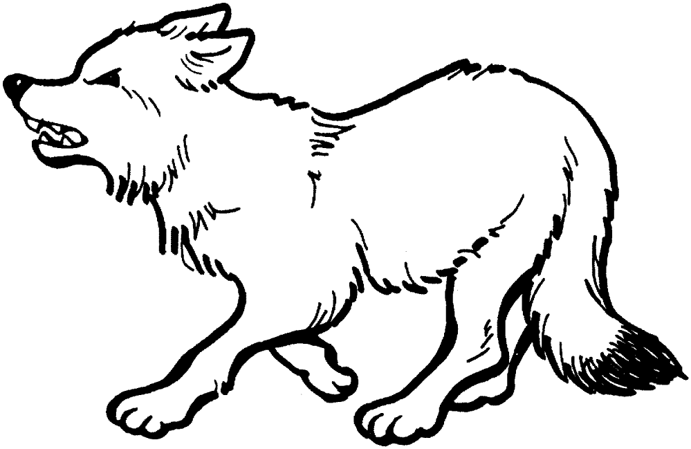 Desenho de Raposas para colorir