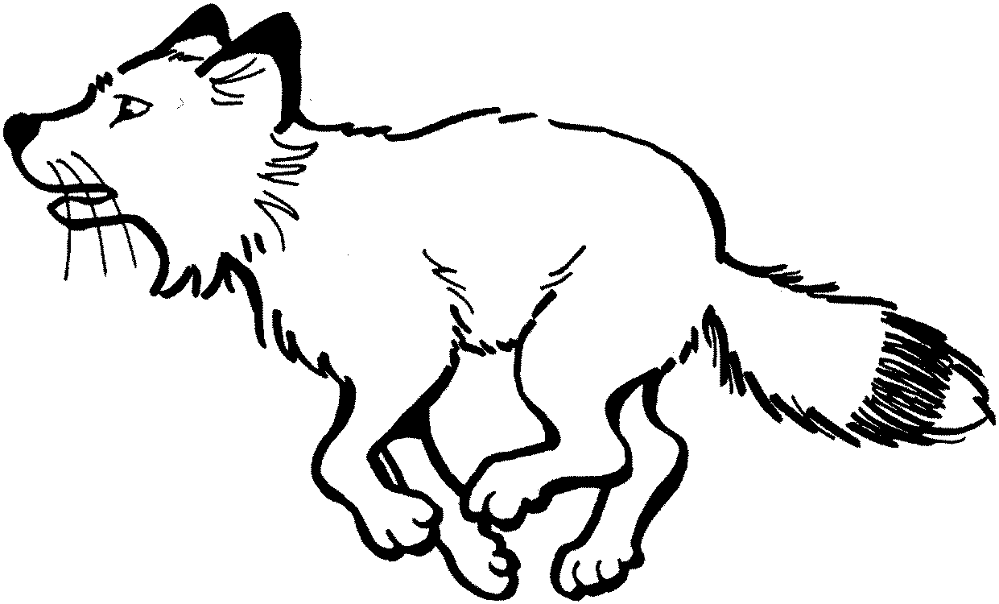 Desenho de Raposas para colorir