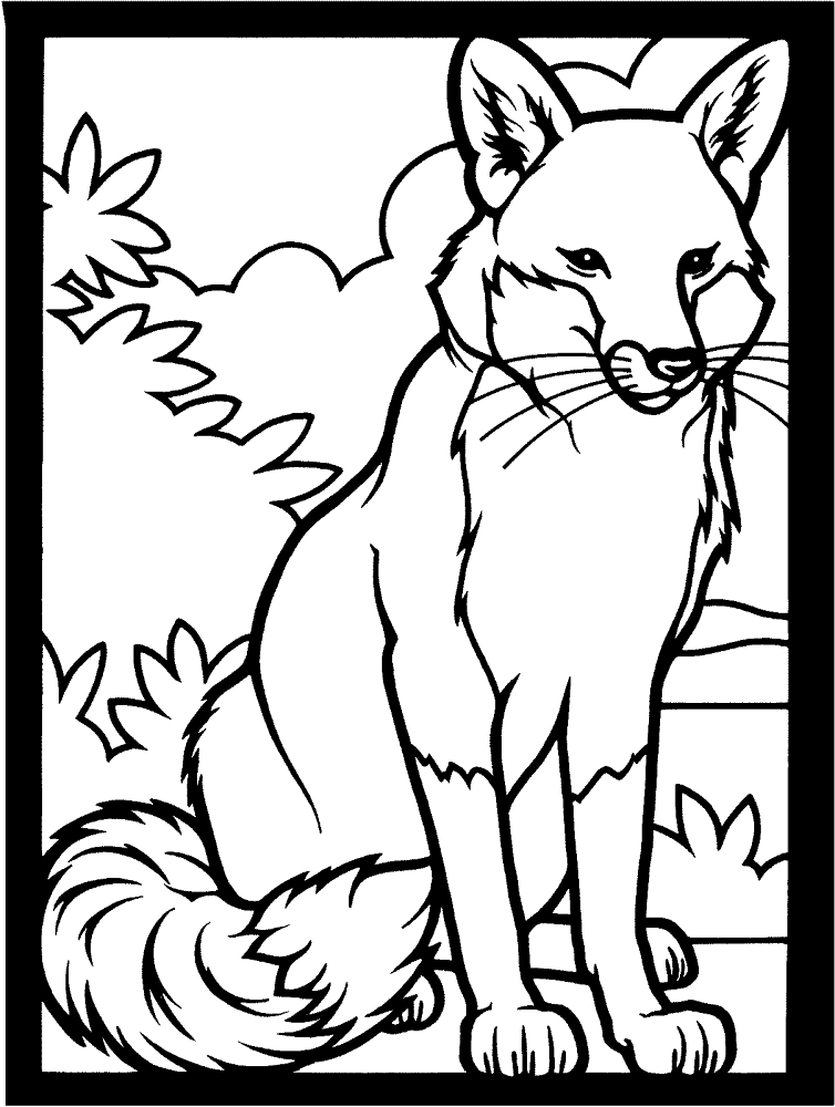 Desenho de Raposas para colorir