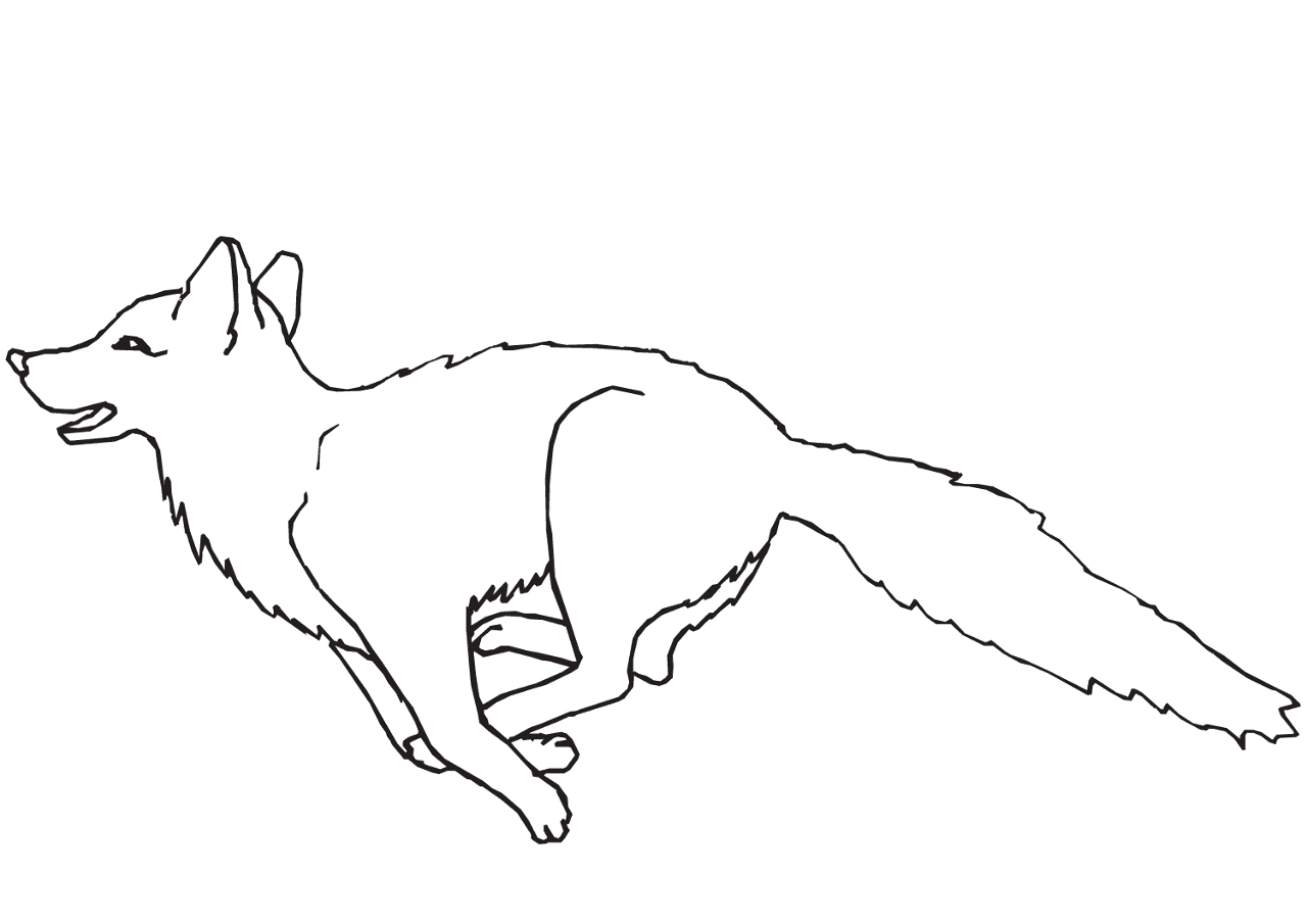 Desenho de Raposas para colorir