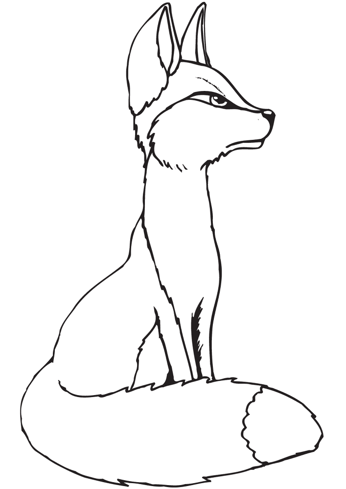 Desenho de Raposas para colorir