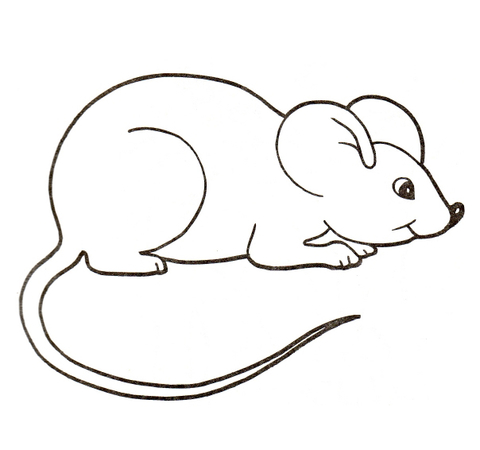 Desenho de Ratos para colorir e imprimir: número 20