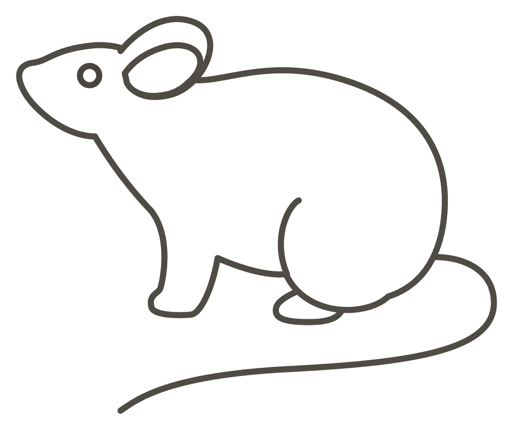 Desenho de Ratos para colorir e imprimir: número 24